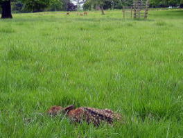 �E�H�o�[���E�A�r�[�iWoburn�EAbby)�̃A���e�B�[�Z���^�[��